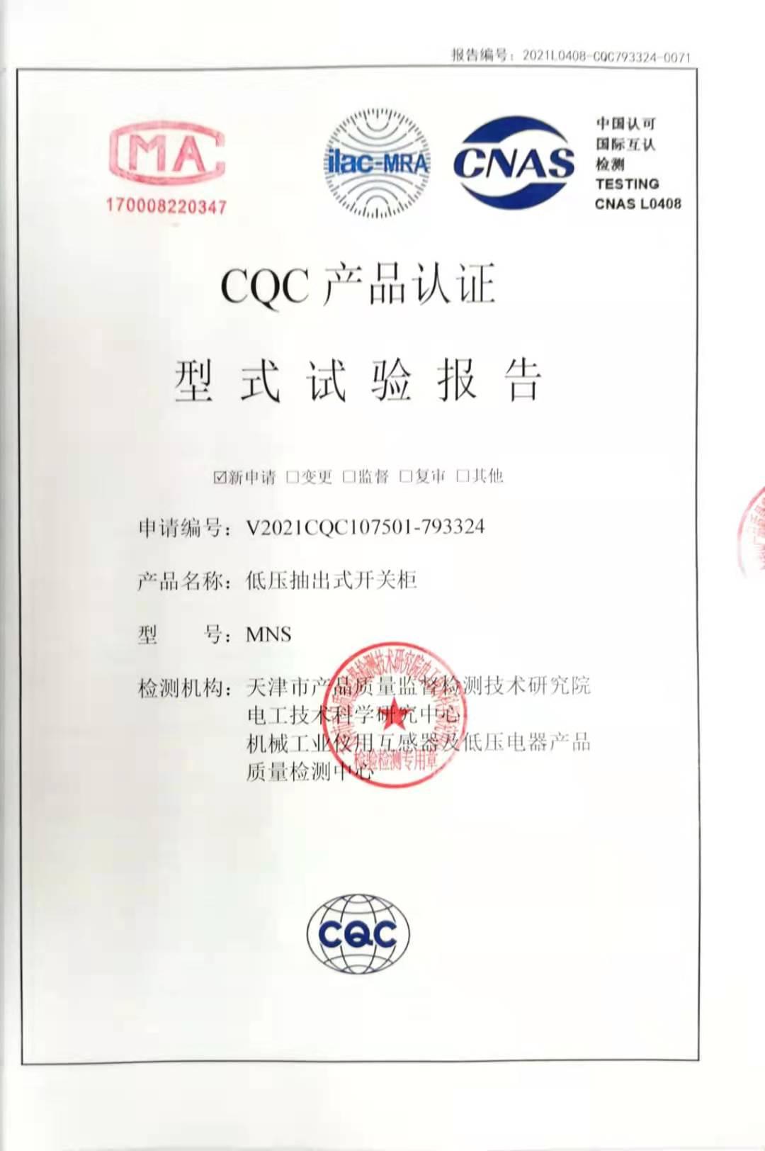 MNS試驗(yàn)報(bào)告